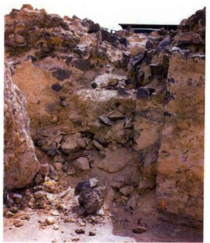 مسجد منارتین.png