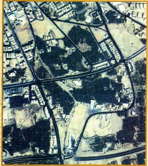 مسجد بنی حبلی.png